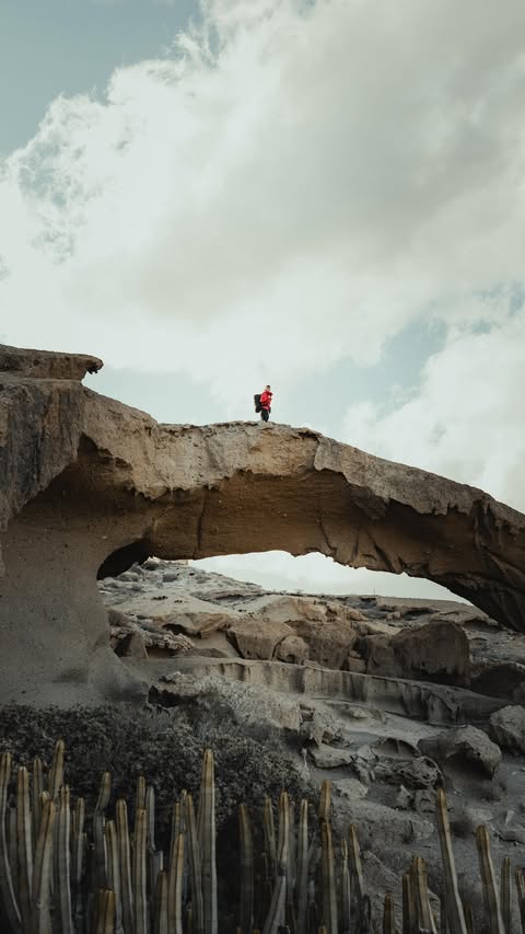 Instagram post by @lucygalliford for Sony UK & Ireland. Caption reads: You + me + a roadtrip 🎞️⛰️ — Shot on....