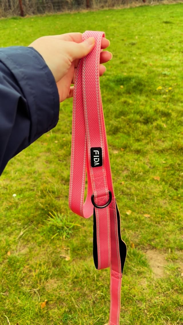 Instagram post by @life.with.molly_ for FidaPet. Caption reads: [...] and lead which were kindly gifted by....