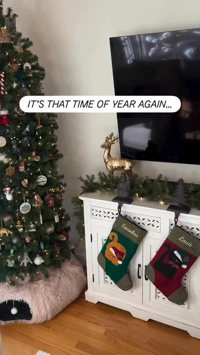 Instagram post by @hats_on_cats_ for Mixbook. Caption reads: [...] at work!!! 🎅🏼🎁😸 #ad

They found @Mixbook....