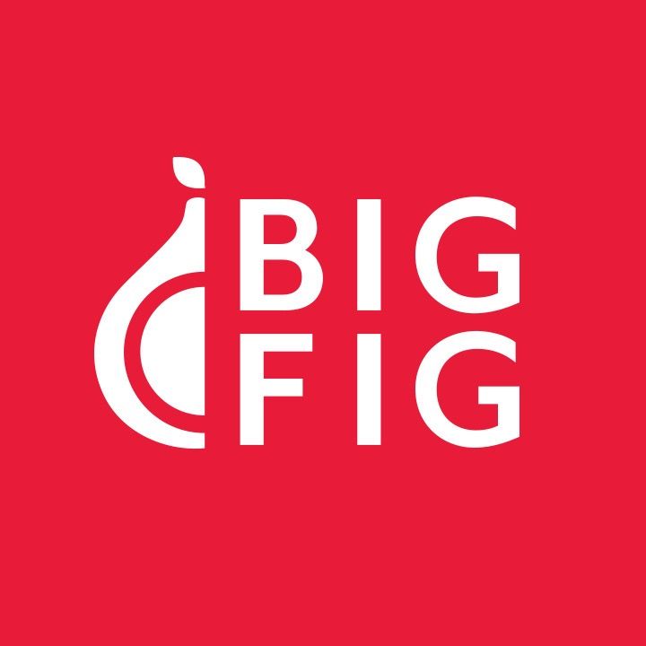 Big Fig Mattress