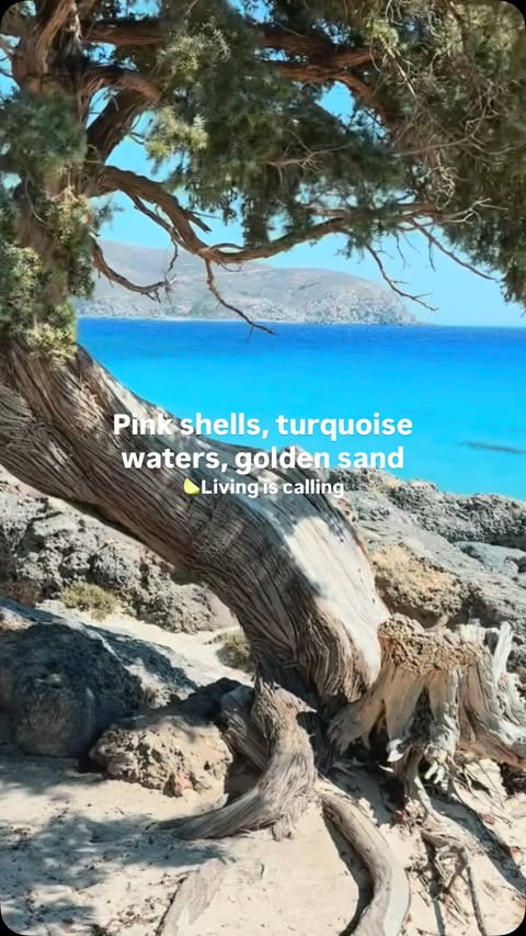 Instagram post by @stef_greece for Corona. Caption reads: [...] World’s 100 Most Beautiful Beaches by....