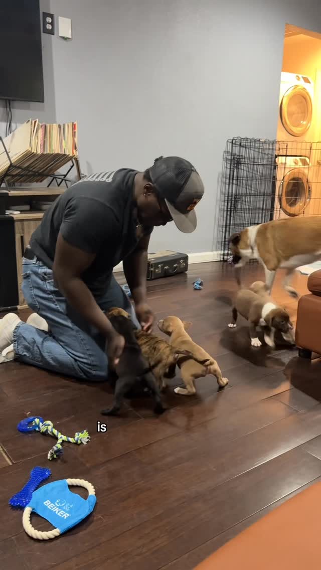 Instagram post by @mythologicaldogs for Earth Rated. Caption reads: Throwback to when we had all the babies 😭 thank....