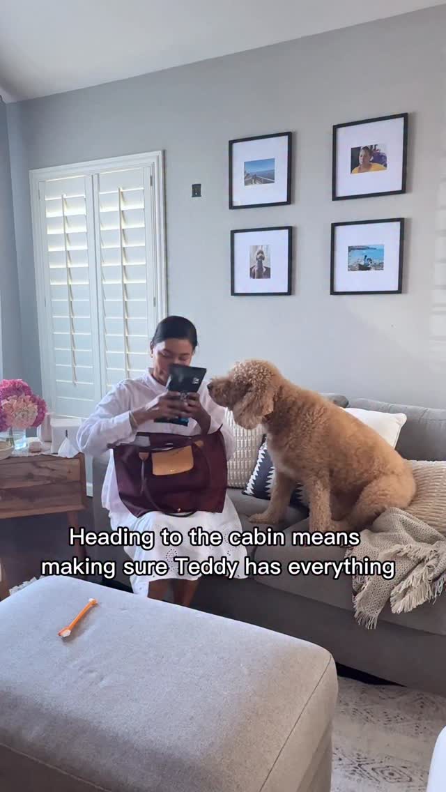 Instagram post by @i.amteddythedoodle for Freshpet. Caption reads: Whether we’re at home or on vacation, Teddy....