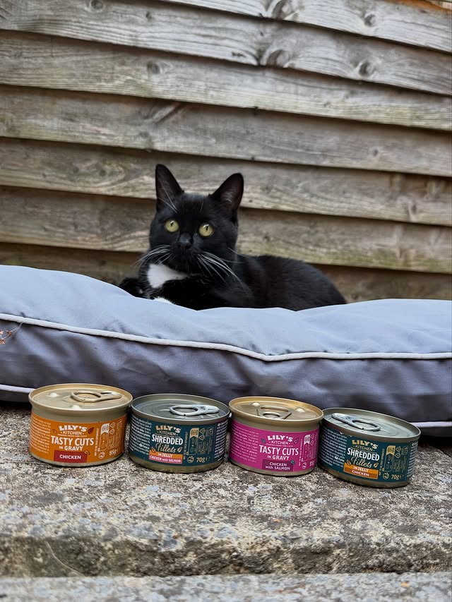Instagram post by @figgypuddin_ for Lily's Kitchen. Caption reads: Figgy’s favourite @lilyskitchenpetfood picks....