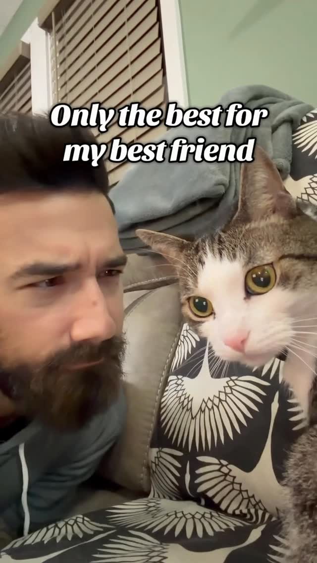 Instagram post by @catnamedroswell for Wellness Pet Food. Caption reads: [...] real chicken as the #1 ingredient!....