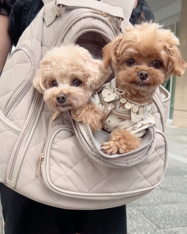 Instagram post by @locomocodayo for Mon Cheri. Caption reads: .
ロコモコのNewリュック…♡！

いつもはmoncheriのメッシュのリュック愛用してて
New....