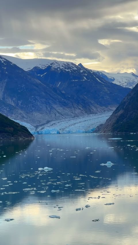 Instagram post by @nicolemsunderland for MSC Cruises. Caption reads: Alaska with @msccruises.us I just spent a week on....