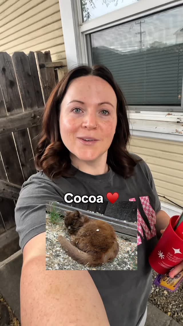 Instagram post by @nicoleleeanne6 for Wellness Pet Food. Caption reads: Thing 1 and Thing 2 always showing up for seconds....