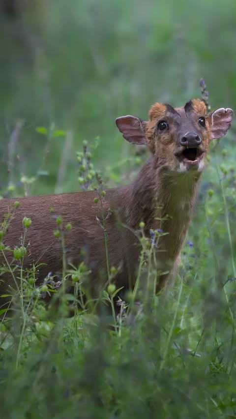 Instagram post by @shelby.photography__ for PGYTECH. Caption reads: [...] space for the rest of my gear, until....