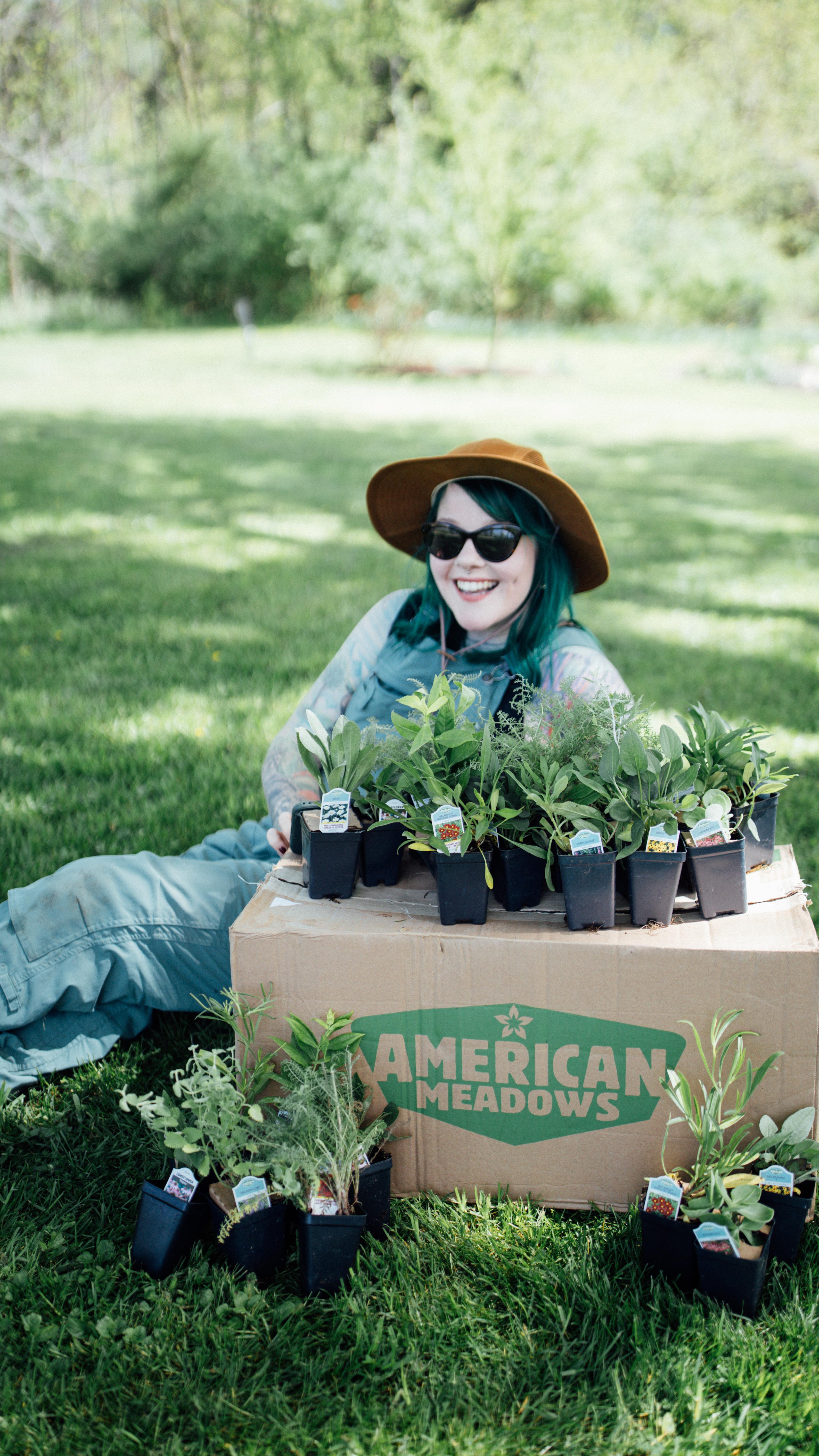 Instagram post by @thedaintysquid for American Meadows. Caption reads: A little update to last year’s @americanmeadows....
