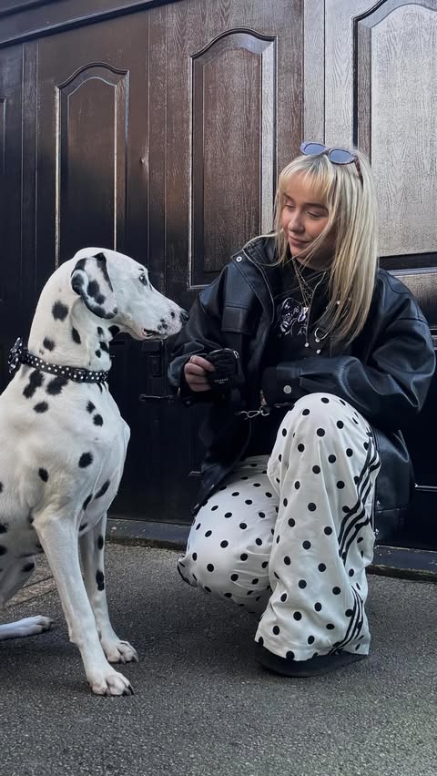 Instagram post by @smudgeandpeanut for Cocopup London. Caption reads: How do you wear your Bayco? 🖤🤍🐾 Our....
