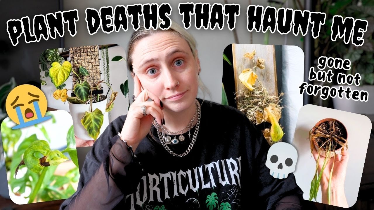 YouTube post by @GoodGrowing for Soltech. Caption reads: Plants That Died… and Still Haunt Me 🕯️👻.