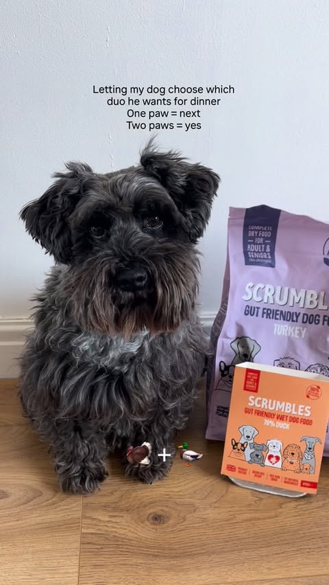 Instagram post by @its_little_eddy for Scrumbles. Caption reads: [...] duos 😍 Which wet food & dry food @scrumbles....