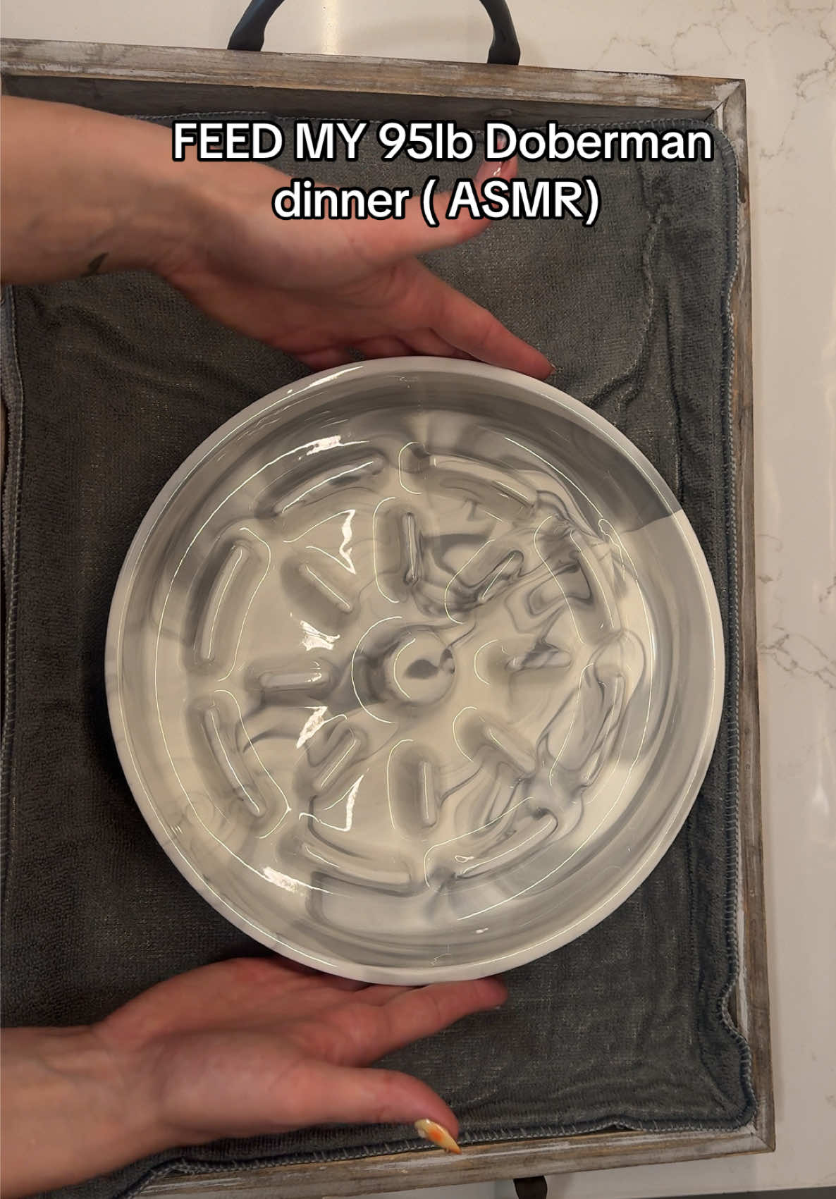 TikTok post by @th3yorks for Native Pet. Caption reads: [...]  @We Feed Raw (ARESYORK) @Native Pet....