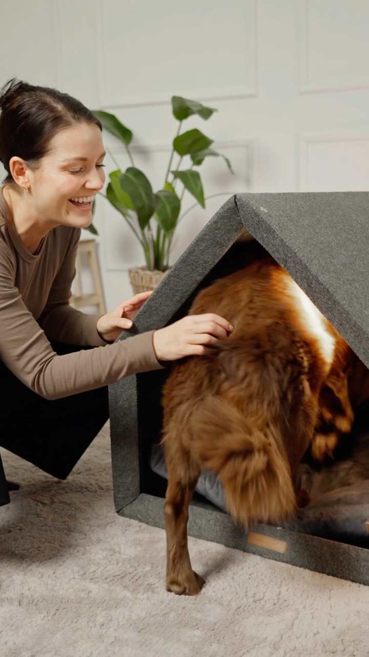 Instagram post by @cindy.muley for Bosch Home DE. Caption reads: Werbung | DREAMTEAM 🐾 🧹 

Louis sorgt für die....