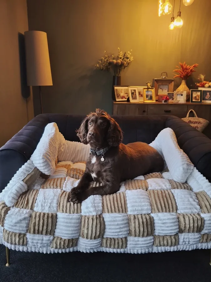 Instagram post by @_homeontheheath for FunnyFuzzy. Caption reads: [...] what do you think?? 😂

Ad| gifted by....