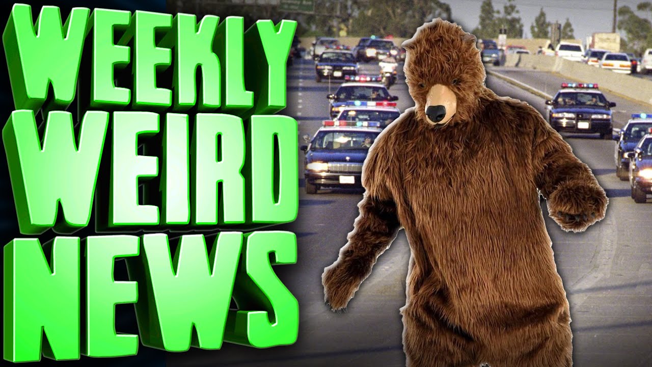 YouTube post by @InternetTodayTV for The Straits Times. Caption reads: Framing Bears For Crimes - Weekly Weird News.