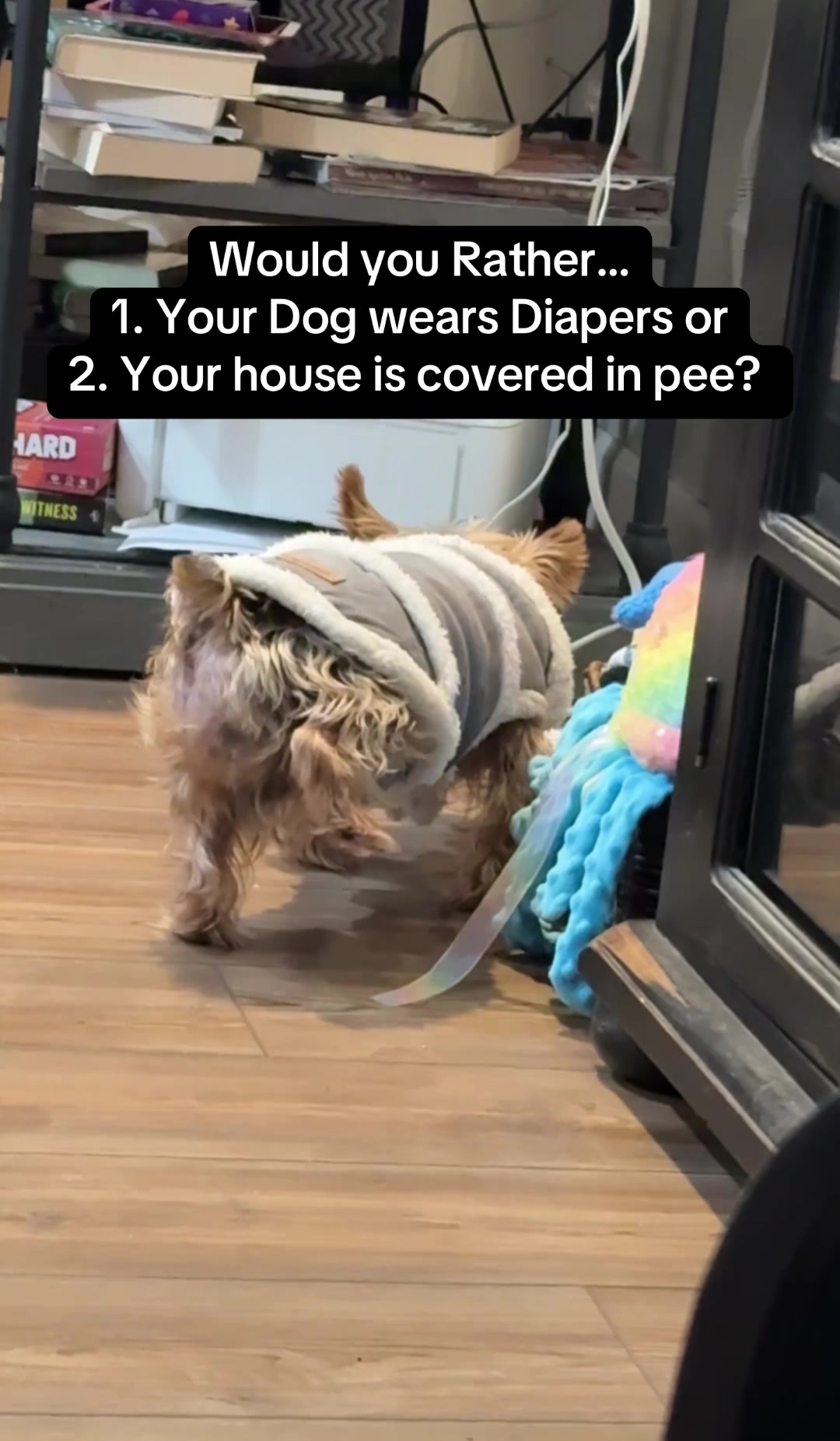 TikTok post by @kristas.kreations for HoneyCarePet. Caption reads: I would rather have a dog that wears diapers than....