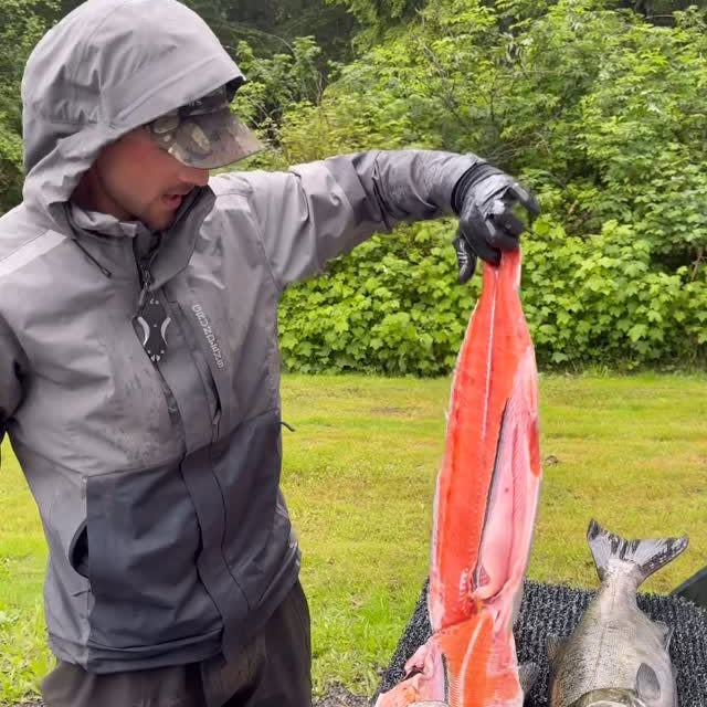 Instagram post by @caylen_phegley for Mustad Fishing. Caption reads: This fillet is brought to you by questionable life....