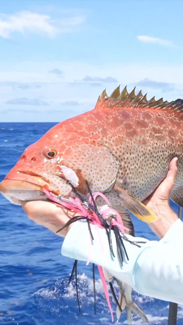 Instagram post by @captnickstanczyk for Mustad Fishing. Caption reads: Nice size Yellowfin Grouper caught in the Bahamas....