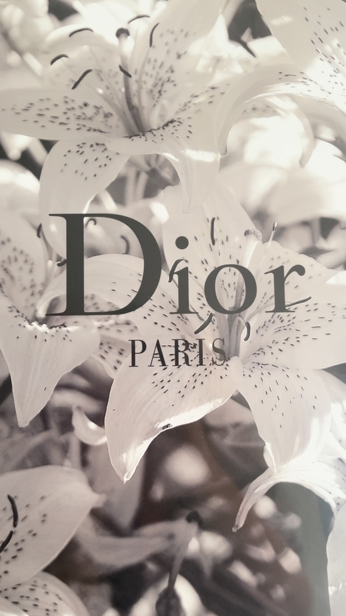 Instagram post by @preziosa_senhorita for Gallerix. Caption reads: @gallerix 🤍 thank you for these two elegant....