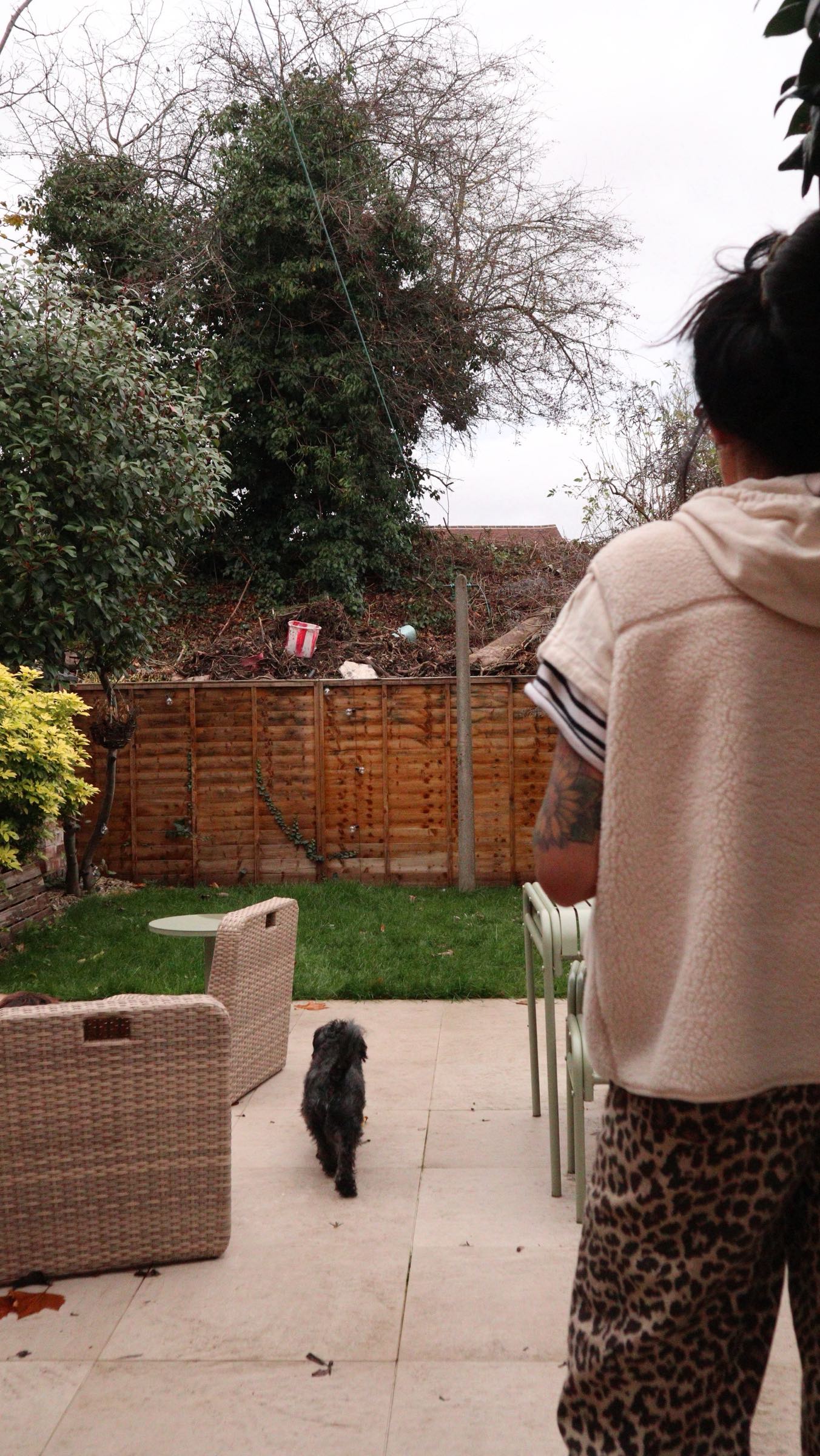 Instagram post by @ourneutralground for SimpliSafe. Caption reads: ad Remember in the summer when the trees got cut....