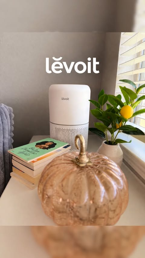 Instagram post by @seldasahn for Levoit. Caption reads: [...] it… 😍 I’ve been using LEVOIT – The No.1 air....