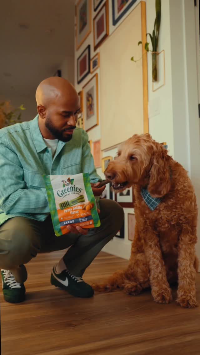 Instagram post by @steelojeem for Greenies. Caption reads: #ad Matching fits with my dog Chance is a vibe,....