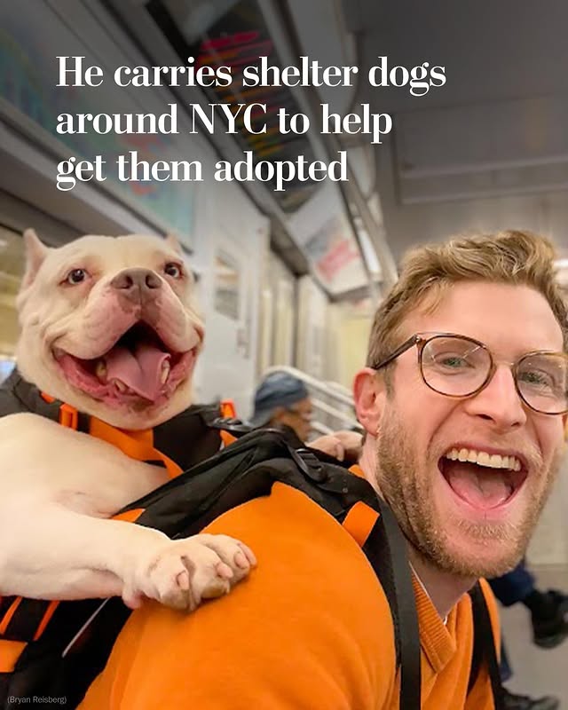 Instagram post by @madmax_fluffyroad for Washington Post. Caption reads: On a recent afternoon in a New York City subway....
