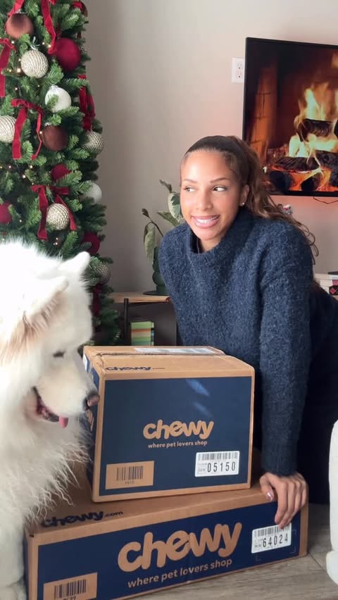 Instagram post by @tokyo_thebear for Chewy. Caption reads: Shop our barkuterie board picks and check out more....