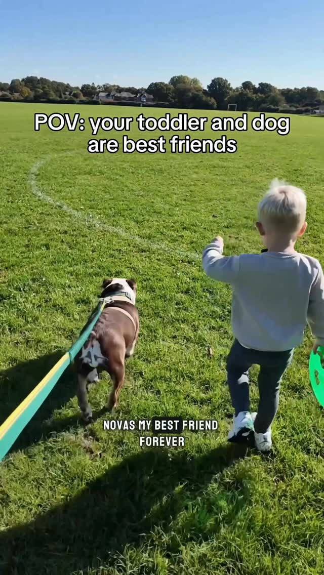 Instagram post by @abigail_stacey22 for Butternut Box. Caption reads: [...] 🐾💛

That’s why we’ve trusted @butternutbox....