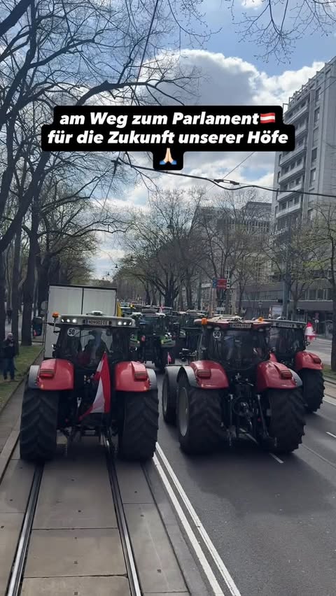 Instagram post by @markusholzschuster for Bündnis Zukunft Landwirtschaft. Caption reads: weil wir nichts mehr zu verlieren haben!🇦🇹☝🏻....