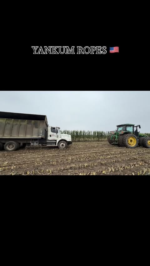 Instagram post by @califarmer30 for Yankum. Caption reads: Link in bio. Use califarmer30 for 10% off....