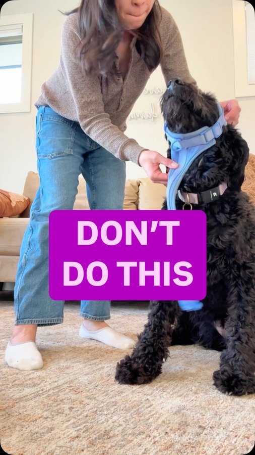 Instagram post by @rachelfusaro for Diggs. Caption reads: Just checked - it’s 75% off right now! 🔗 in my....