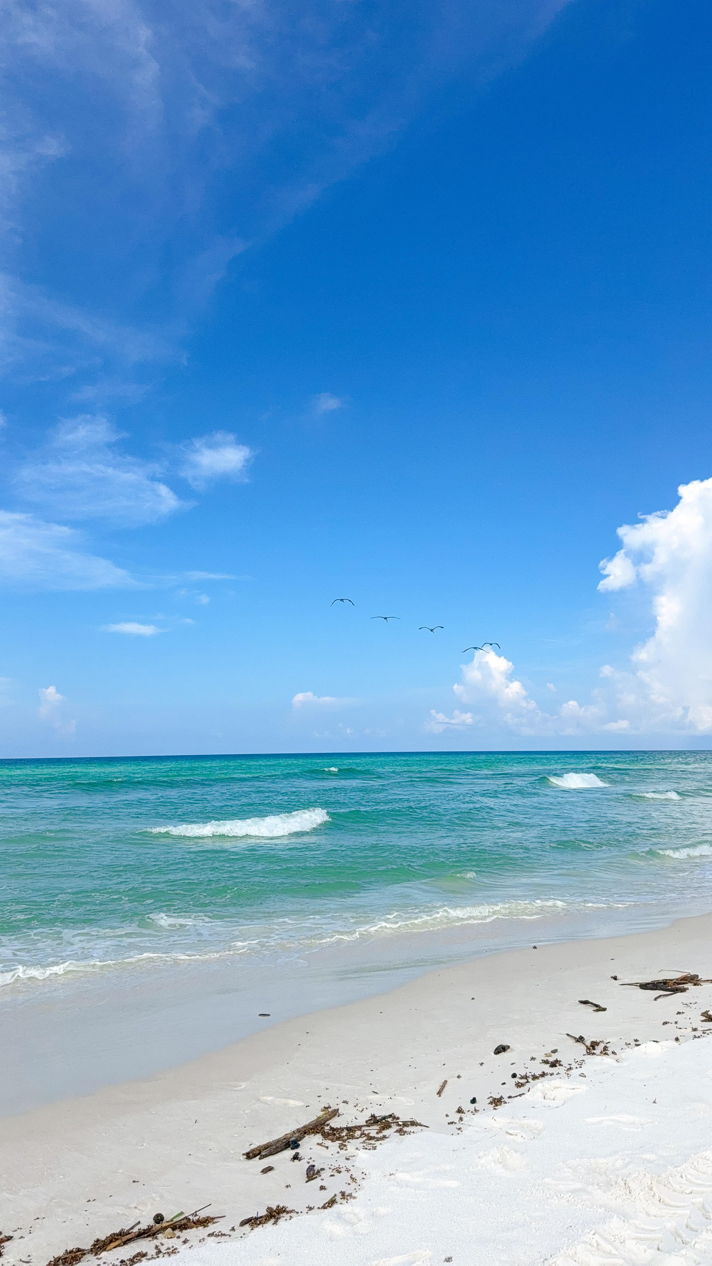 Instagram post by @grace.burget for Honey Swim. Caption reads: @thehoneyswim haul 
#honeyswim....