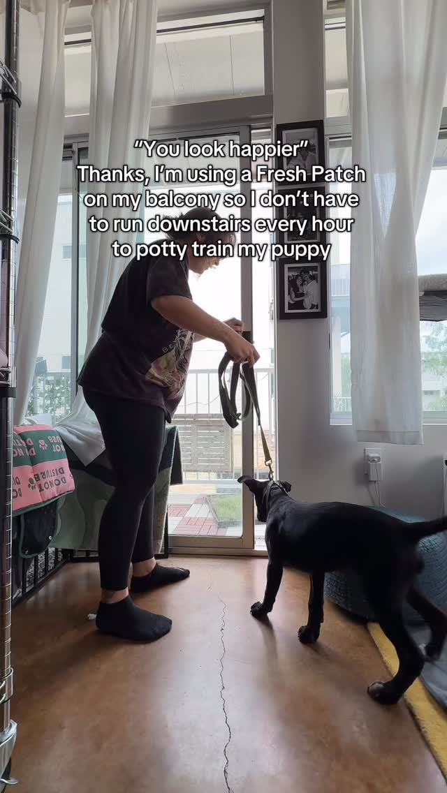 Instagram post by @taylorcezanne for freshpatch. Caption reads: It’s a LIFESAVER ! 👏🏼 if you have a new puppy I....