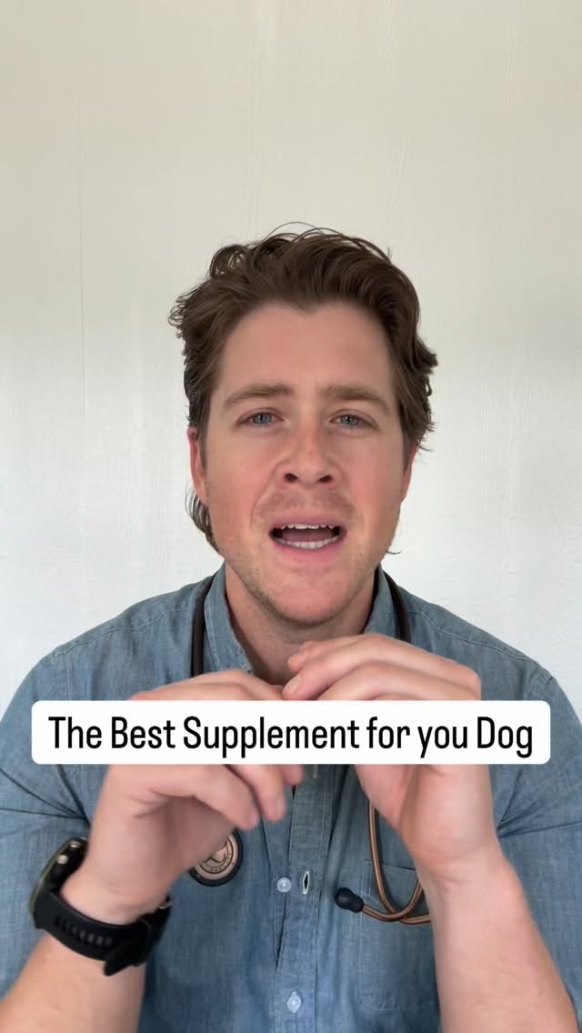 Instagram post by @dr.mikewalker for Fera Pets. Caption reads: Every dog will benefit from probiotics through out....