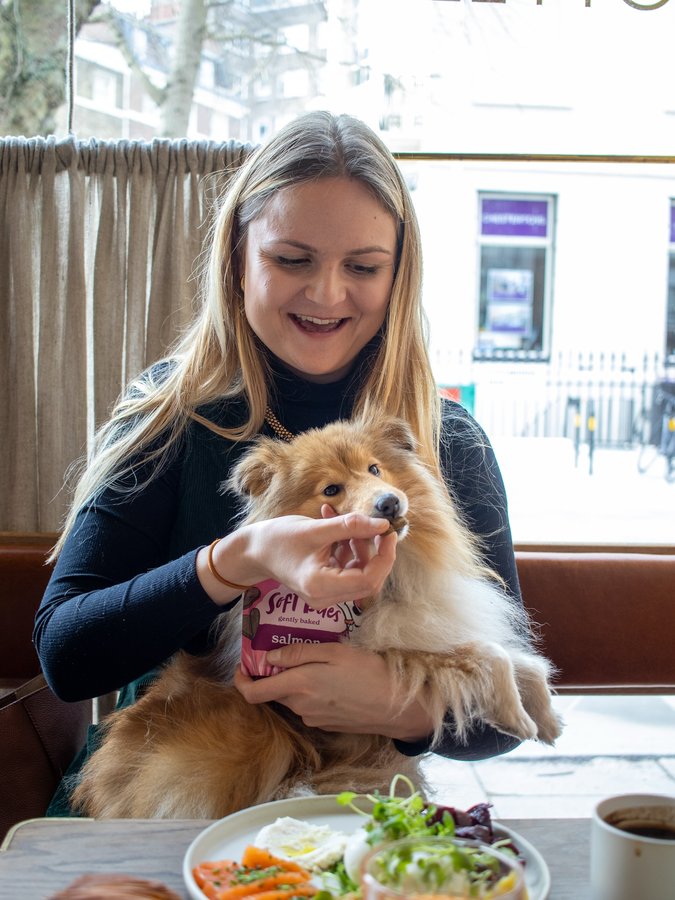 Instagram post by @londonsheltiecallie for Forthglade. Caption reads: @boxcarlondon smoked salmon for me, @forthglade....