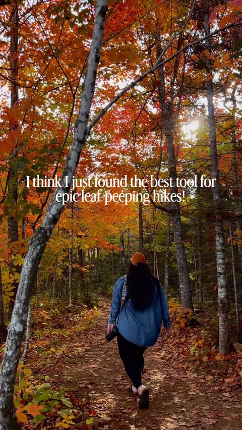 Instagram post by @lizannelately for AllTrails. Caption reads: The ULTIMATE fall hiking tool from @alltrails just....