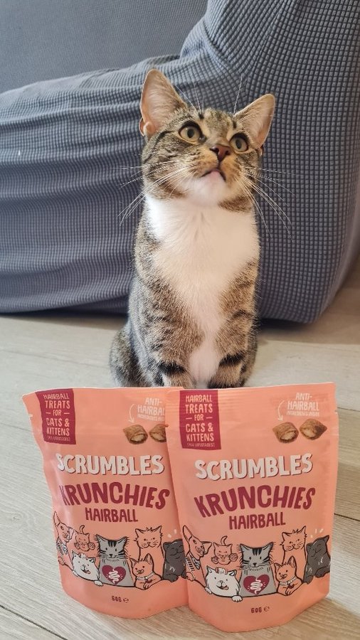 Instagram post by @vinnie_and_mimi for Scrumbles. Caption reads: BESTIES, we have a supriseeeee...Introducing new....