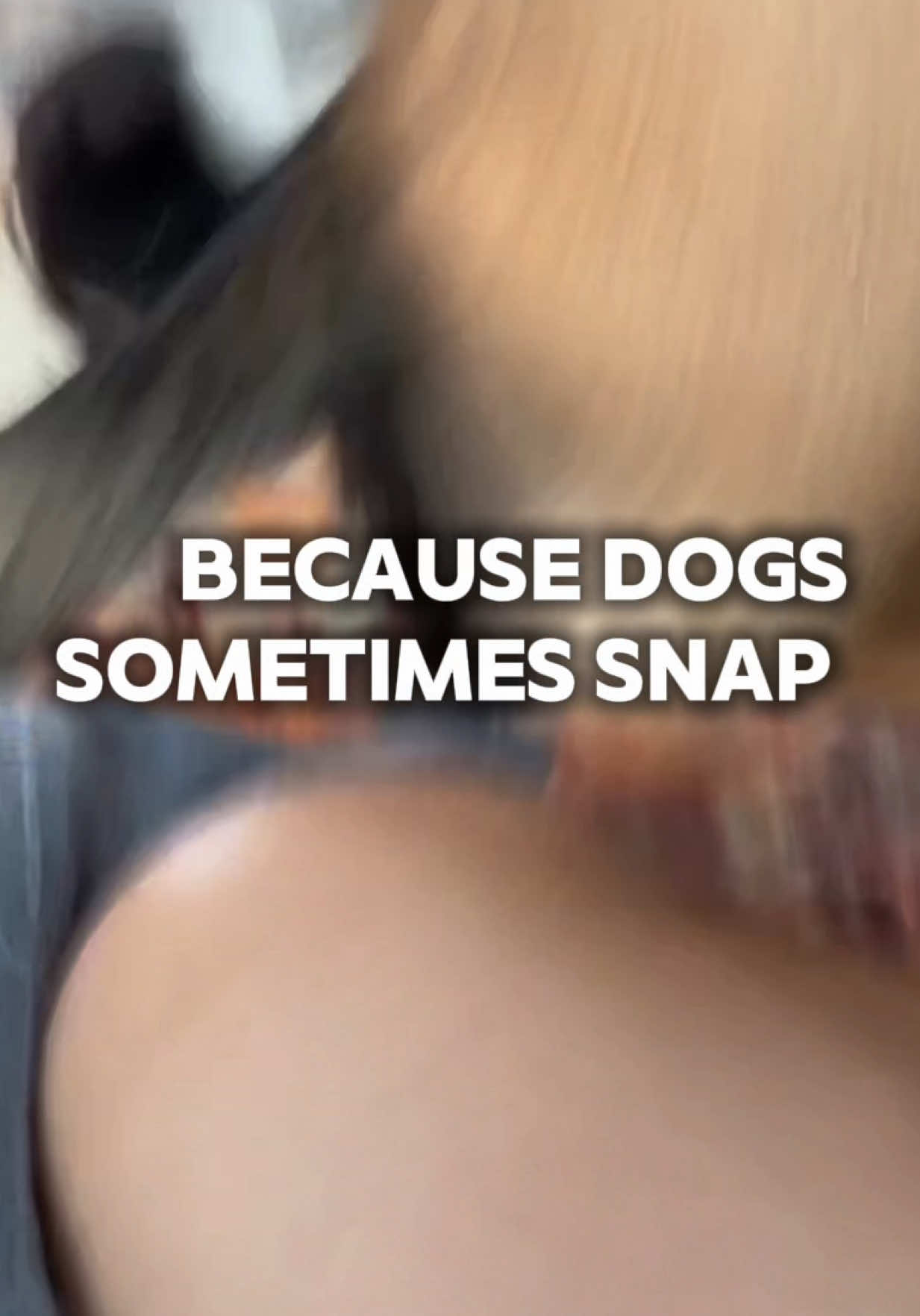 TikTok post by @thezakgeorge for Pupford. Caption reads: [...] my free 30 day training guide here 👉....