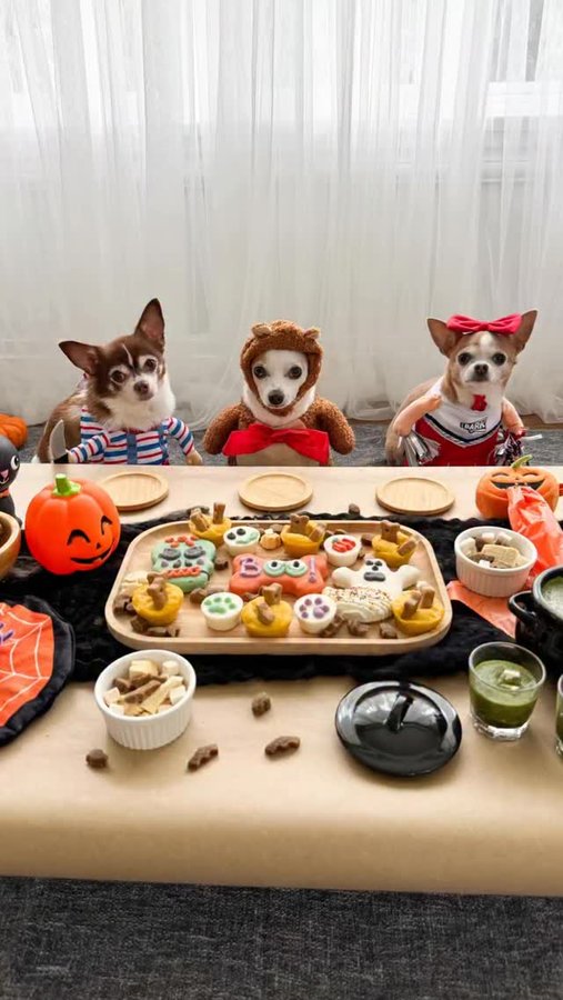 Instagram post by @baothechi for PetSmart. Caption reads: #ad | We partnered with PetSmart to throw the....