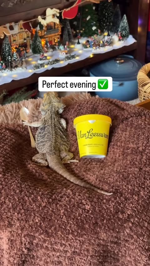 Instagram post by @whosagoodlizard for Van Leeuwen Ice Cream. Caption reads: Lewis’s perfect evening routine? A bowl of....