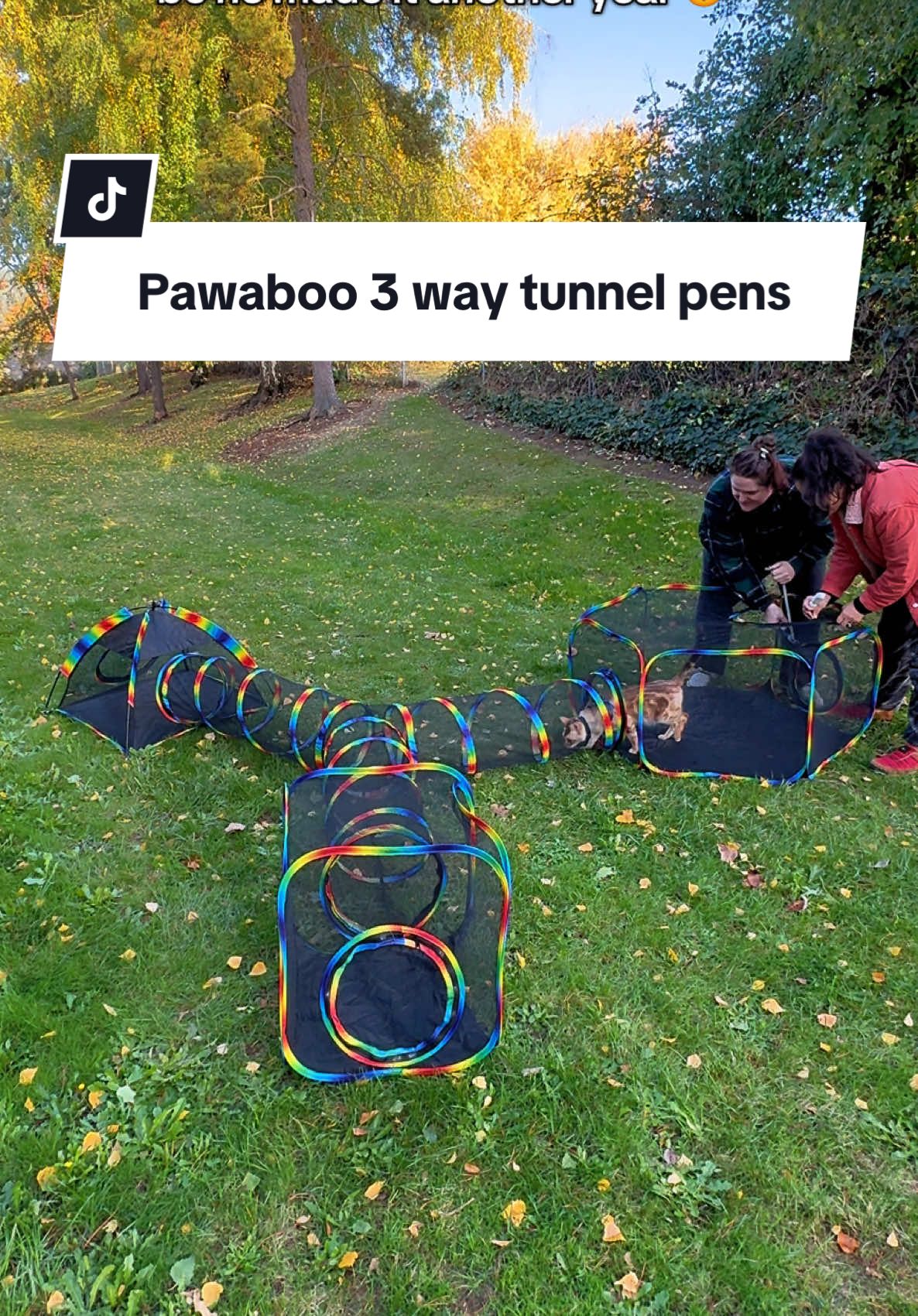 TikTok post by @michellepearlpnw for Pawaboo. Caption reads: This one’s for my fellow cat parents ❤️....