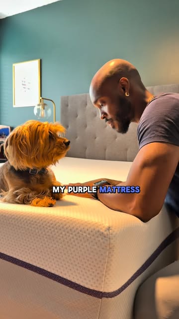Instagram post by @its.deewilly for Purple. Caption reads: [...] Mylo are sleeping a lot better now 💤....