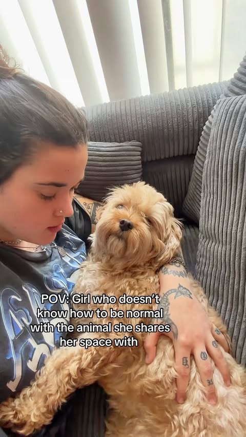 Instagram post by @emgracedawg for Open Farm Pet. Caption reads: [...] GIRL!!! #OpenFarmPartner @openfarmpet.