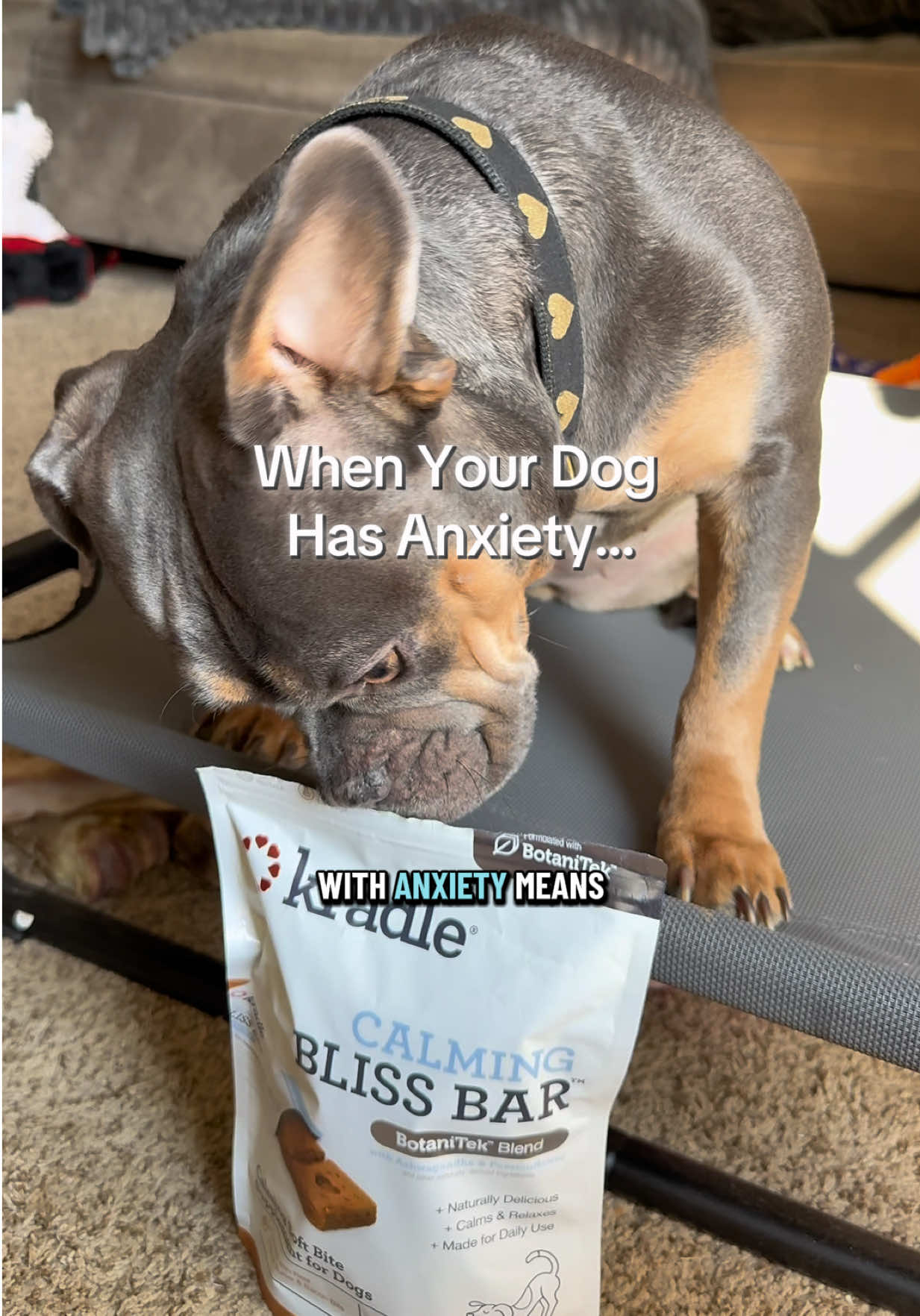 TikTok post by @bigglesworld for Kradle. Caption reads: A calm dog is a happy dog 🐶 @Kradle Calming Bliss....