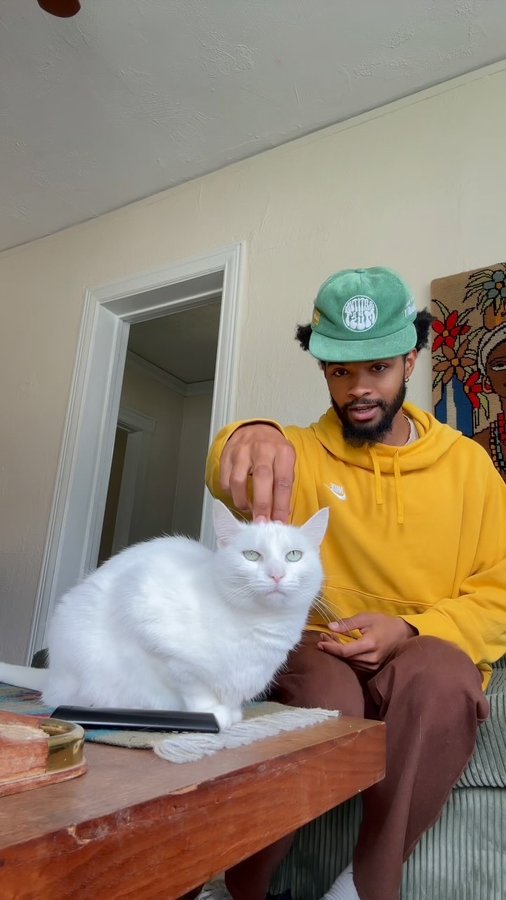 Instagram post by @curtistootrill for Smalls. Caption reads: @smallsforcats is honoring cat dads around the....