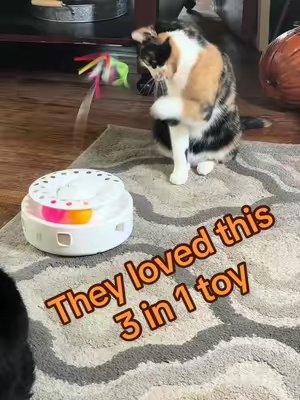 TikTok post by @meganinmichigan for Potaroma. Caption reads: [...] #tiktokshopcreatorpicks #catlover #fyp....