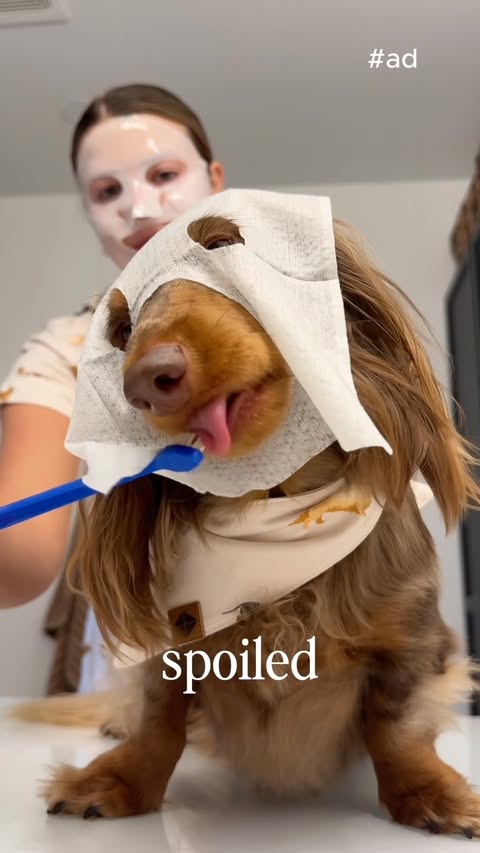 Instagram post by @indytheminidoxie for GoodRx. Caption reads: [...] it comes to Indy’s healthcare. The new....